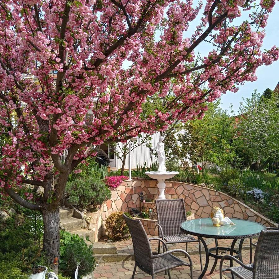 Hévíz Valloris Apartments מראה חיצוני תמונה